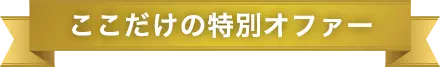 ここだけの特別オファー