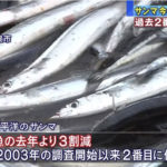 秋刀魚が歴史的不漁の恐れ　去年より３割減