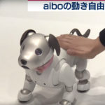 aiboを若者へ　渋谷でプログラミング体験