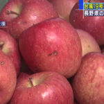 【台風19号被災リンゴ】農家を支援するため都内で販売開始！