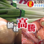 “新型コロナショック”  野菜への影響